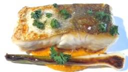 Recepta de cuina de Lluç amb crema de moniato i all tendre